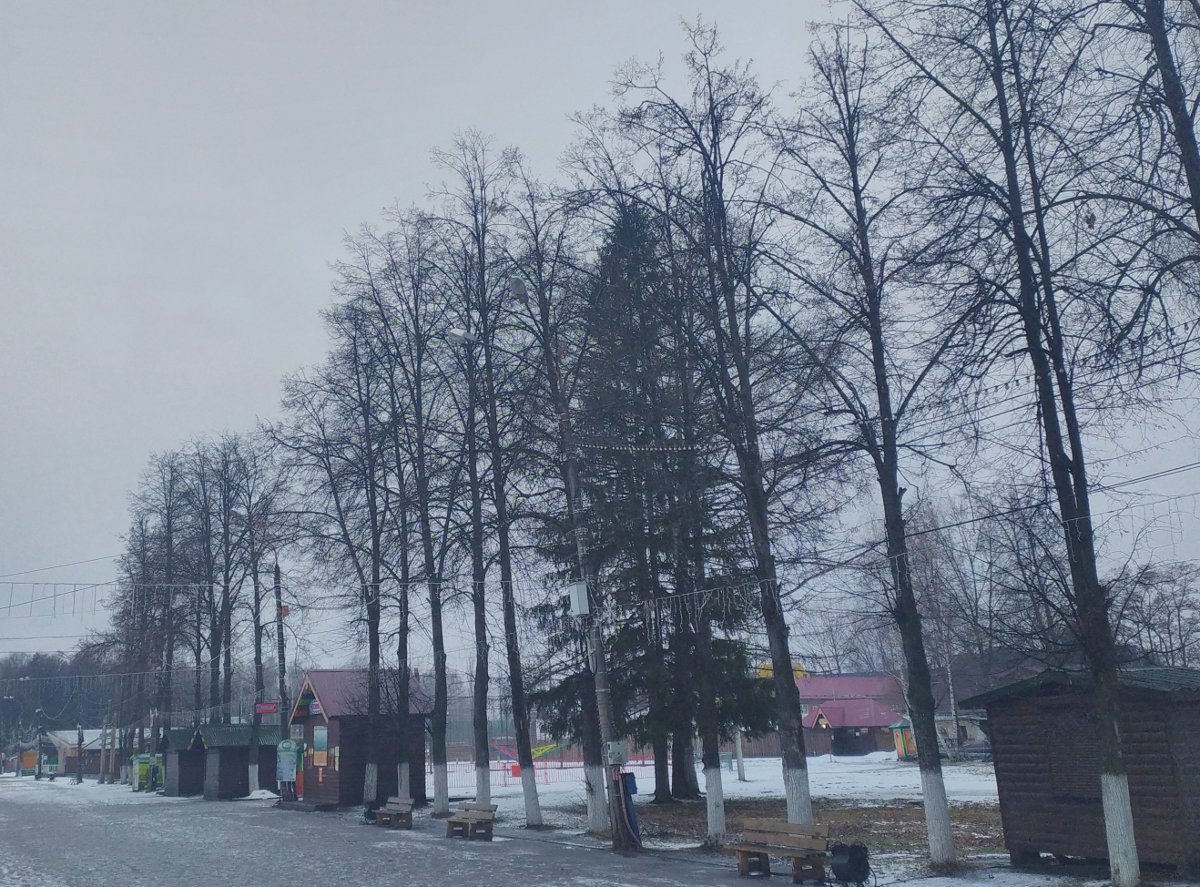 Чистоту Светлоярского и Сормовского парков будут контролировать еженедельно