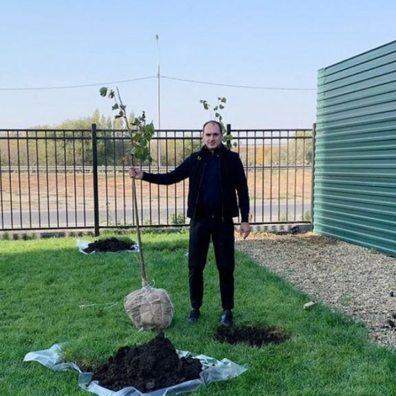 СК «Анастасия» приняла участие в высадке деревьев в Батайске