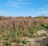 Ход строительства дома 3.1 в ЖК Форест -