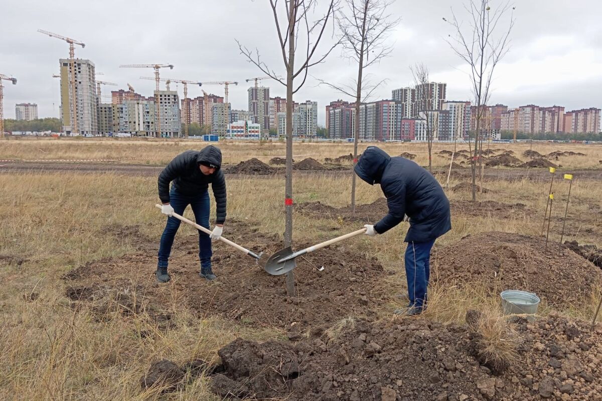 Новый парк заложили в старом аэропорту Ростова - Фото 1