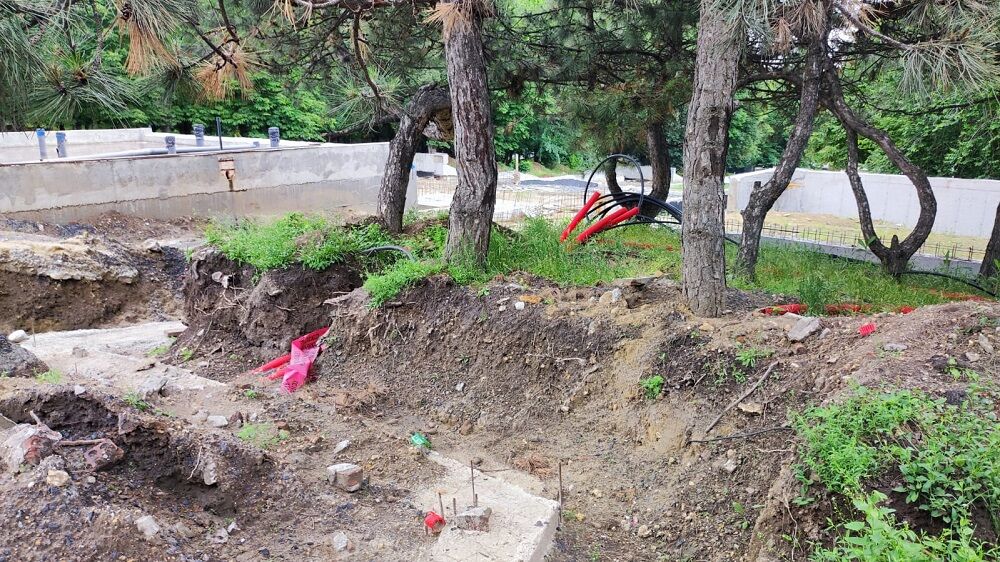 Хатламаджиян: в ростовском парке «Дружба» скоро будет древопад - фото 2