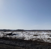 Ход строительства дома 11 в ЖК Миловские Просторы -