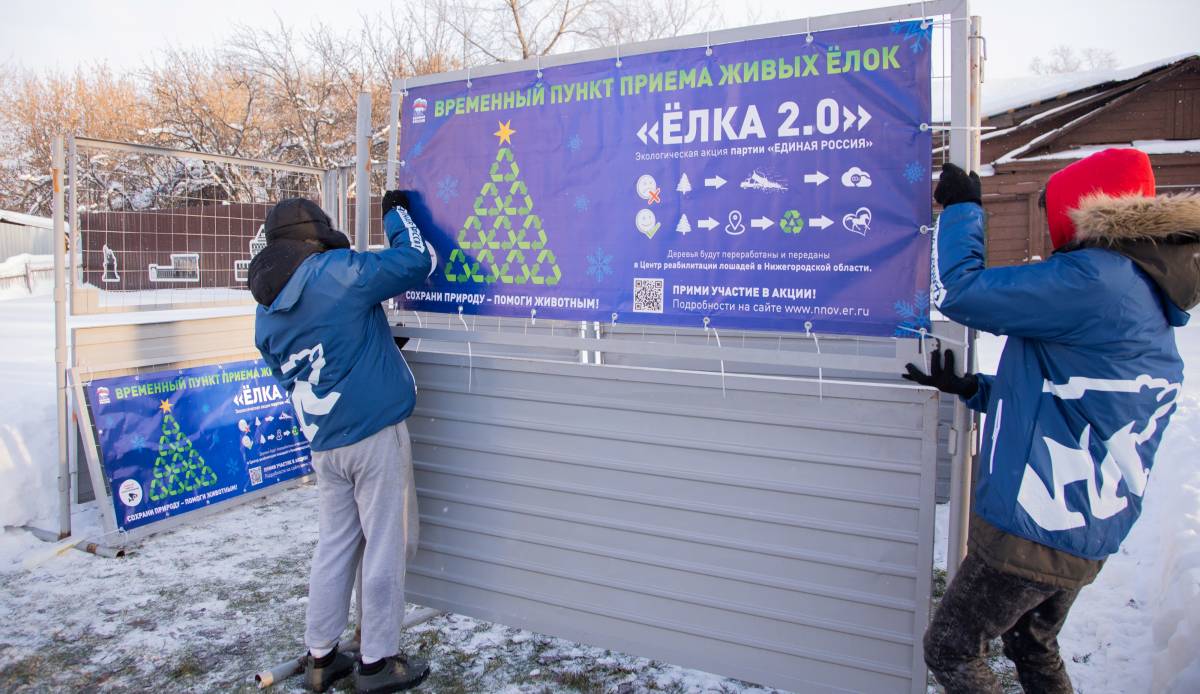 Пункты утилизации новогодних елей начали работать в Нижегородской области - фото 1