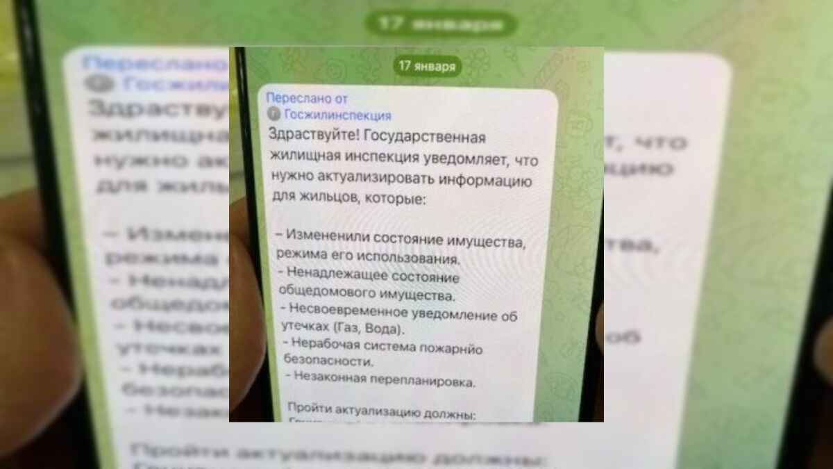 Жителей Ростовской области предупредили о фейковых чатах Госжилинспекции - фото 1