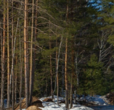 Ход строительства дома 7 в ЖК Glorax Экосити (Урбан-квартал) -