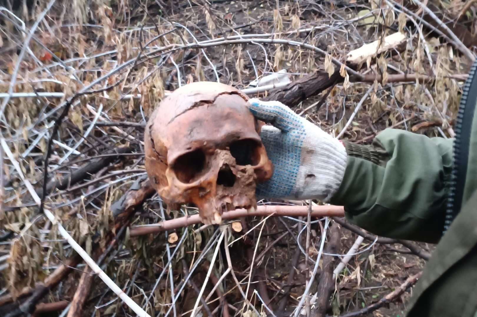 Человеческий череп обнаружили в Воронеже в микрорайоне Чижовка - фото 1