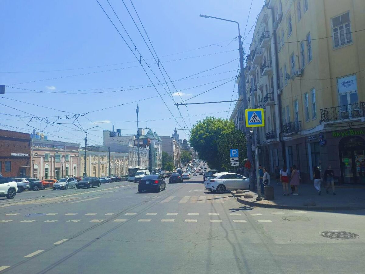 Хатламаджиян: Деревья — главный щит безопасности ростовчан - фото 4