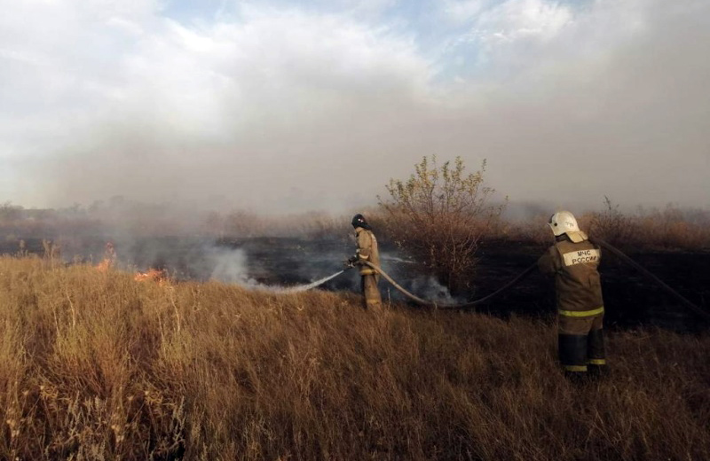 Стихийные пожары уничтожили более 30 построек в Ростовской области 