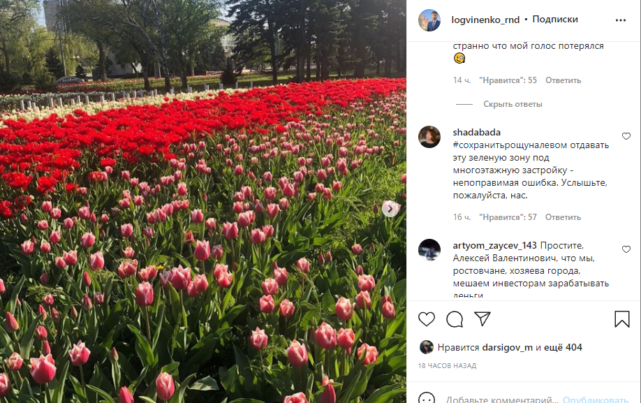 Ростовчане предложили вместо высадки тюльпанов сохранить рощу на левом берегу Дона